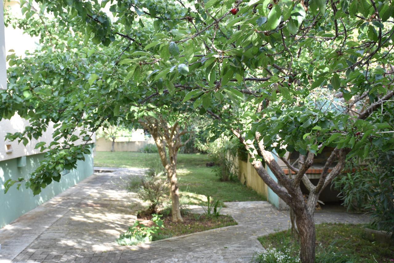 פטרצ'אנה Apartments Antonija Punta Skala Next To Falkensteiner Resort מראה חיצוני תמונה